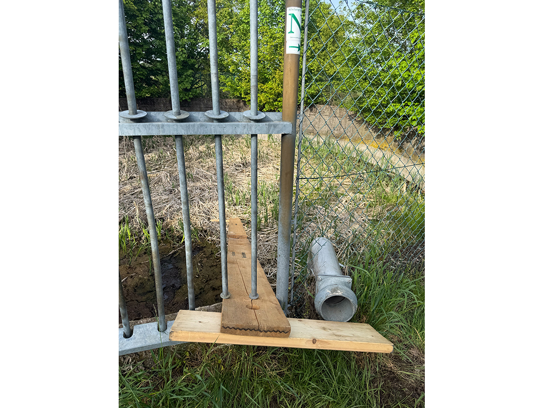 Simple Item 13